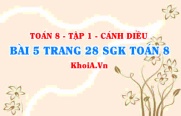 Bài 5 trang 28 SGK Toán 8 tập 1 Cánh Diều